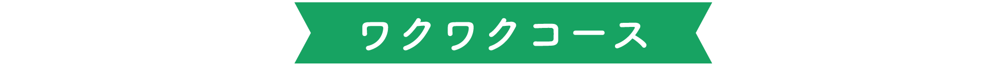 ワクワクコース